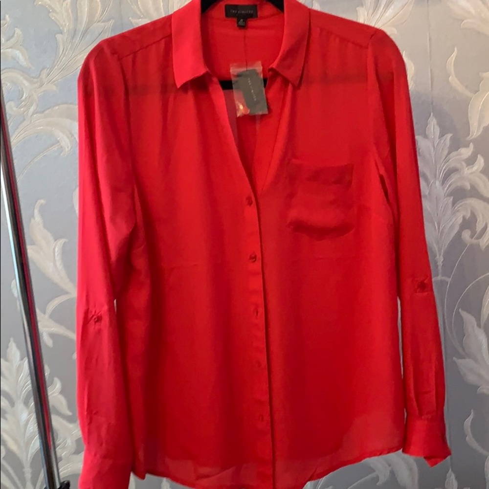 The Limited Blouse